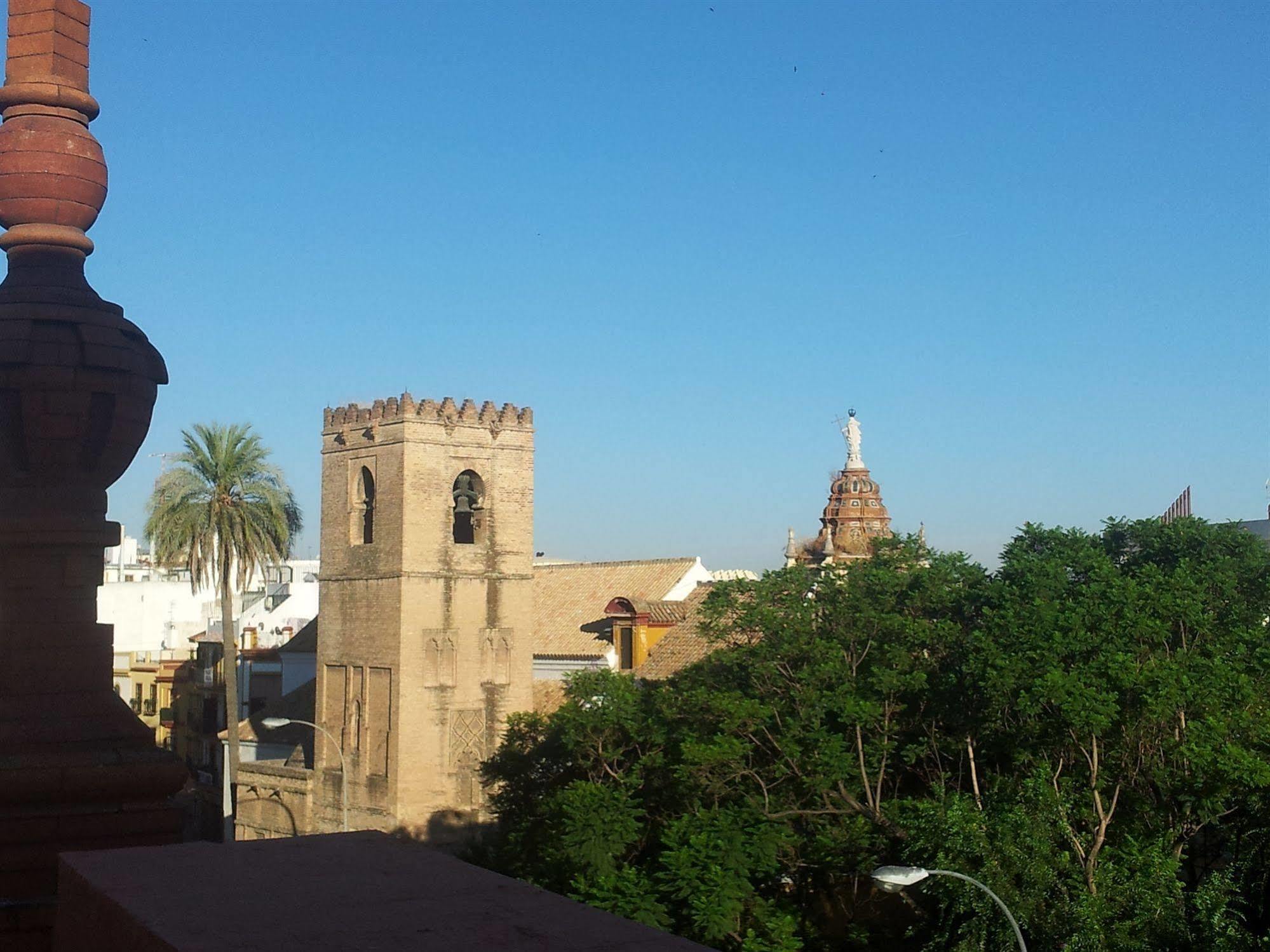 Baco Sevilla