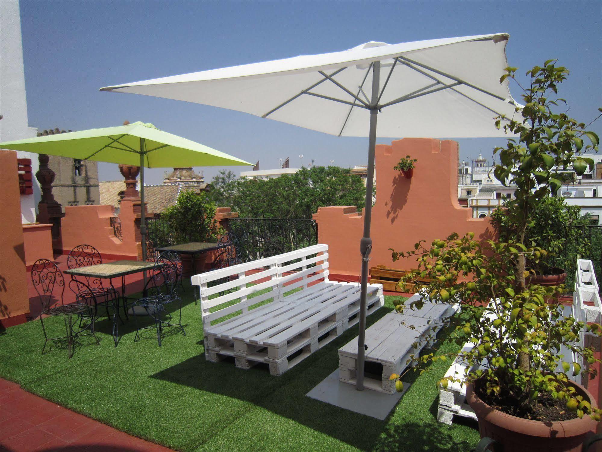 Baco Sevilla